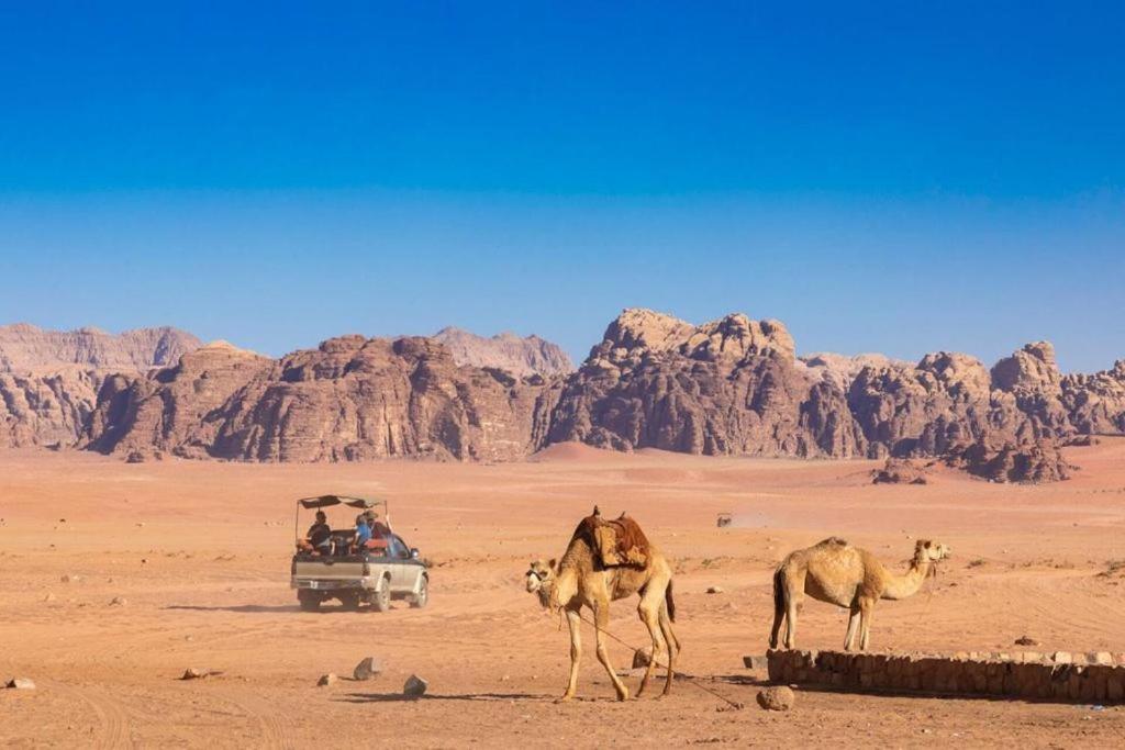 Отель Bedouins Life Camp Акаба Экстерьер фото